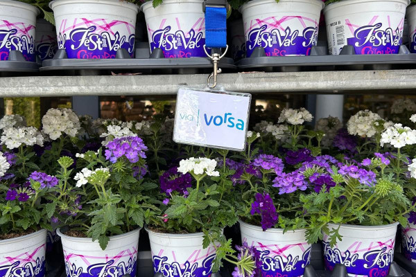 Afgelopen week zijn de eerste zomerbloeiers uitgedeeld voor de vrijwilligerswaardering