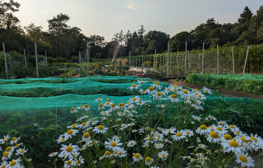 moestuin medewerker (M/V)
