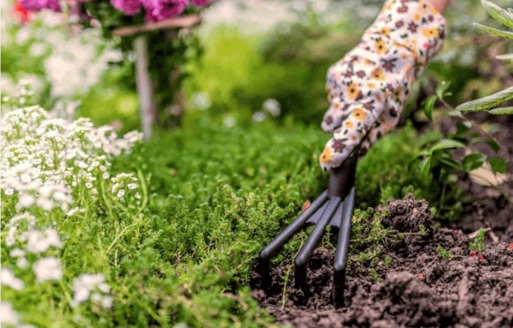 Heb je groene vingers en wil je graag iemand helpen, dan zoek ik jou!