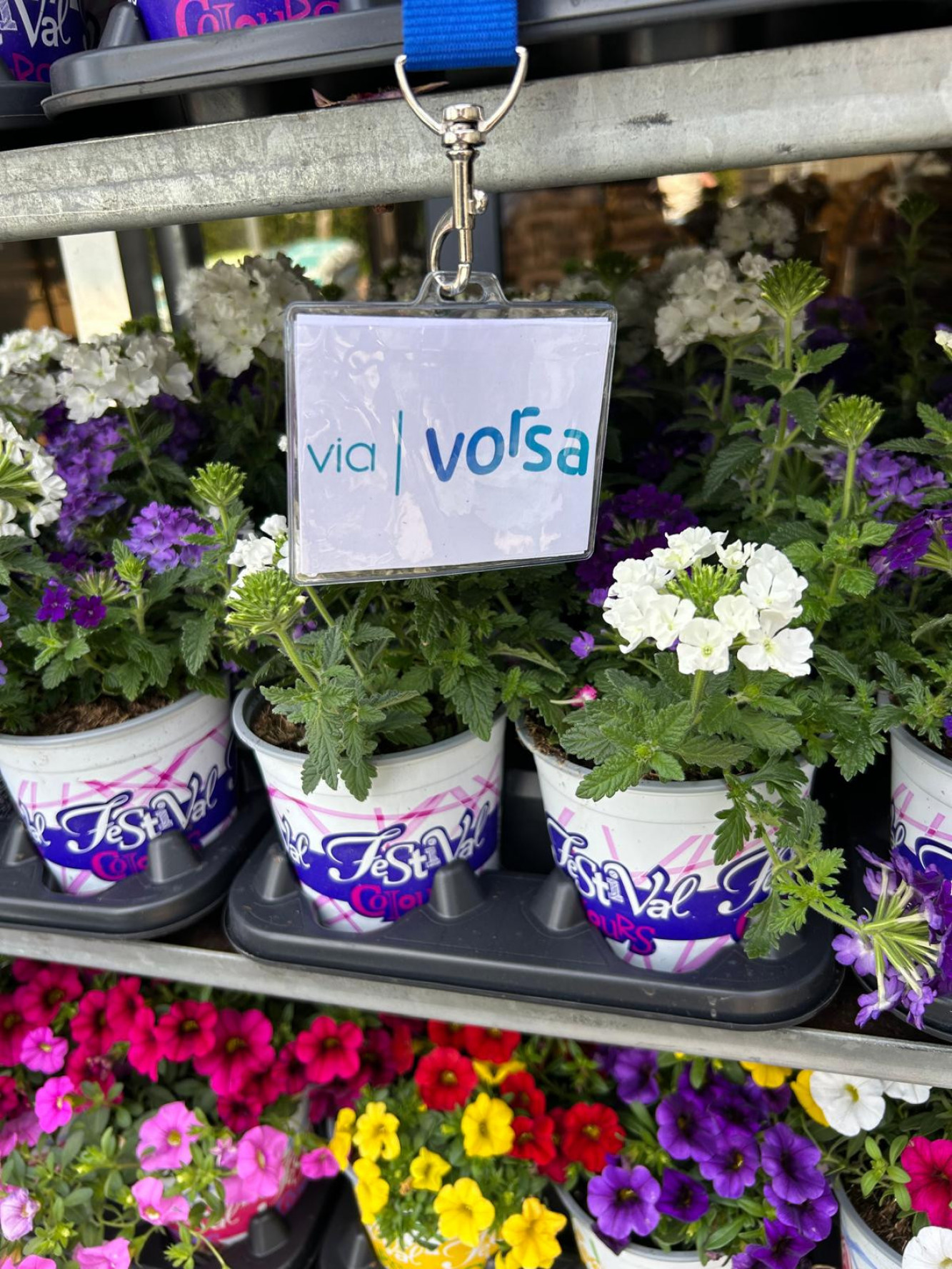 Zeg het met bloemen! 